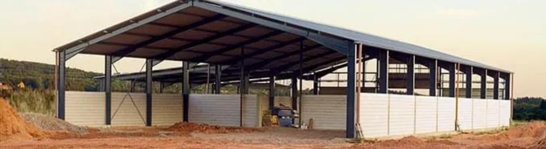 Dedetização de Galpão  24 HORAS